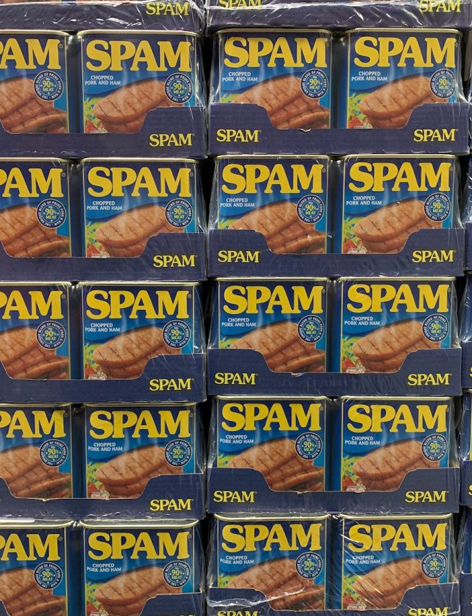 All About Spam