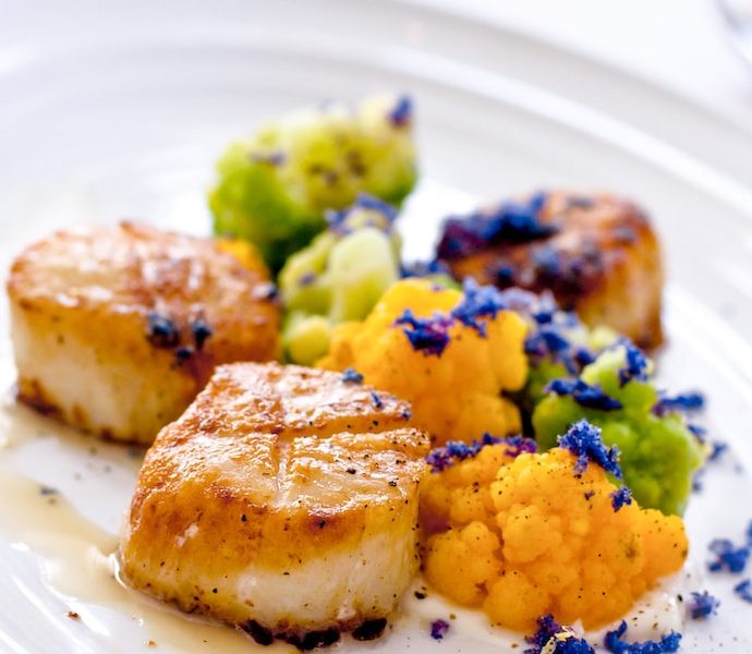 All About Scallops