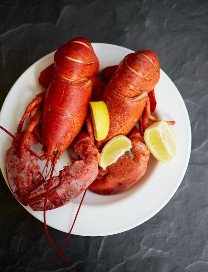 All About Lobster