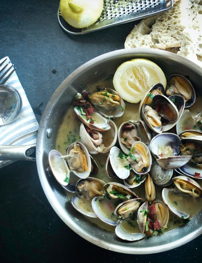 All About Clams