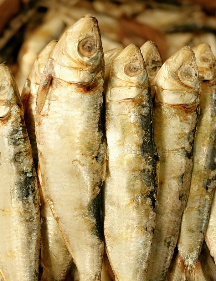 All About Dried Fish